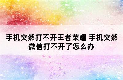 手机突然打不开王者荣耀 手机突然微信打不开了怎么办